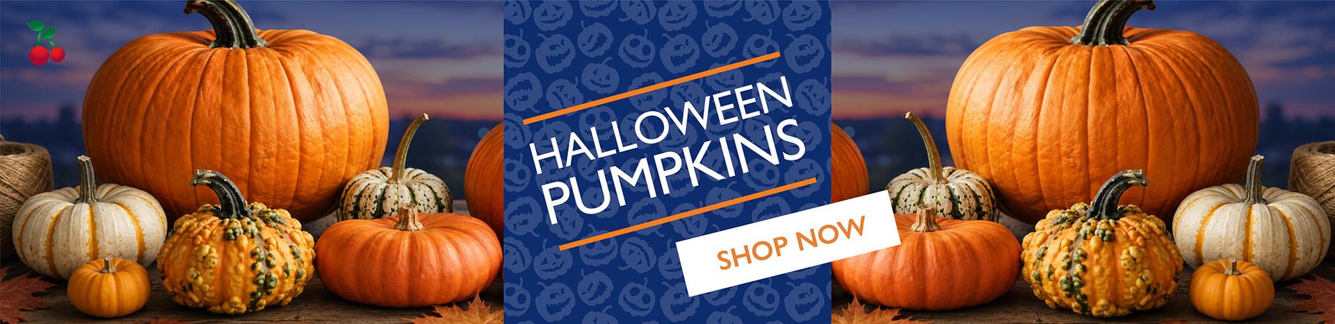 order-now-halloween-pumpkin