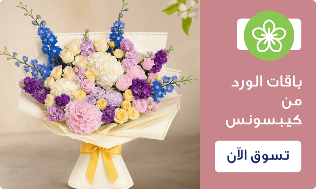 كيبسونس